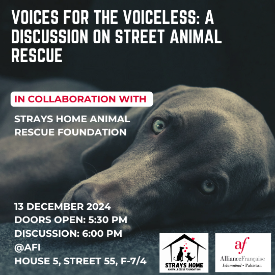 VOICES FOR THE VOICELESS: A DISCUSSION ON STREET ANIMAL RESCUE